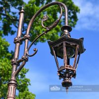 Antique Copper Finish Swan Neck Luminaire On Lamp Post Bracket Antique Copper Finish Swan Neck Luminaire On Lamp Post Bracket