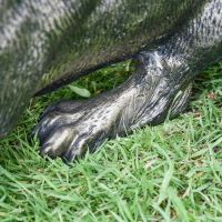 Feet on the Antique Gold Cougar Sculpture