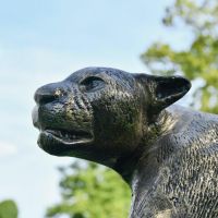 Side View of the Antique Gold Cougar"s Head