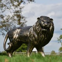 Antique Gold Lion Sculpture in Situ in the Garden