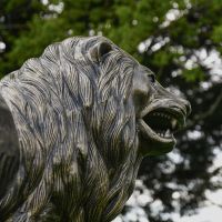 Close-up of the Detail on the Antique Gold Lion Sculpture