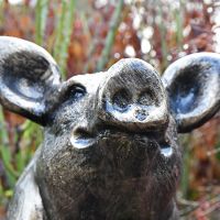 View of the Face of the Sitting Pig Sculpture View of the Face of the Sitting Pig Sculpture