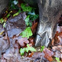 Close-up of the Feet of the Sitting Pig Sculpture Close-up of the Feet of the Sitting Pig Sculpture