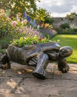 Antique Gold Tortoise Planter digital illustration