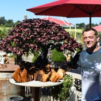 Metal & Wood Magical Tree Garden Sculpture 