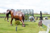 "Trunkwood Park" Asian Elephant Garden Sculpture "Trunkwood Park" Asian Elephant Garden Sculpture