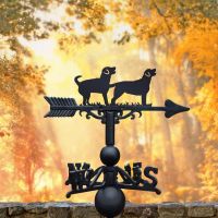Two Labradors Weathervane Autumn Background