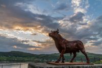 "Devonshire" Bull Garden Sculpture