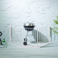 The XL Baby Dan Hearth In Situ Around a BBQ