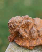 Close up Of Rustic Baby Tortoise Garden Sculpture