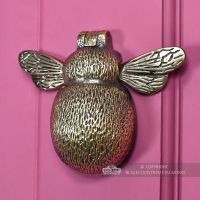 Quirky cast brass bee door knocker on front door
