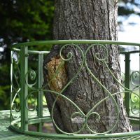 Detailed image of ornate scroll design backrest on tree seat