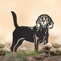 Beagle Silhouette in Situ