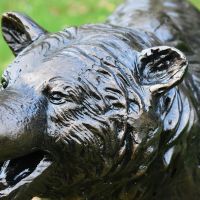 Close-up of the Detail on the Bear Cub Sculpture Close-up of the Detail on the Bear Cub Sculpture