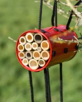 Close up of insect hotel detail Close up of insect hotel detail