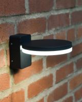 Belgrave Garden wall Down Light high angle light on