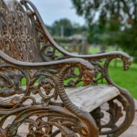 Close up of Rustic "Serpent" Gothic Bench