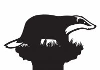 Badger Weathervane topper