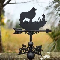 Border Collie or Sheltie Weathervane in garden