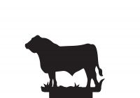 Lincolnshire Bull Topper 