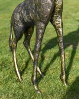 Close up of Black and Gold Finish Giraffe Cast Aluminium Sculpture Front Legs
