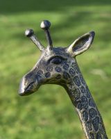 Close up of Black and Gold Finish Giraffe Cast Aluminium Sculpture Head
