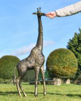 Scale image of Black and Gold Finish Giraffe Cast Aluminium Sculpture