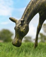 Close up of grazing foal"s head