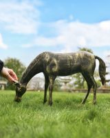Scale image of grazing foal statue