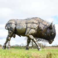 Bison Recycled Metal Sculpture in Situ in the Garden
