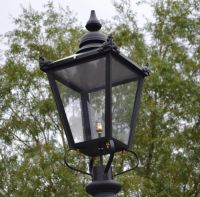 Victorian Lantern & Custom Frog Collar 