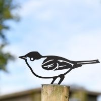 Black Blackcap Warbler Steel Fence Topper