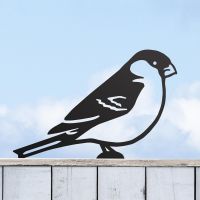 Black Bullfinch Steel Fence Topper in Situ Black Bullfinch Steel Fence Topper in Situ