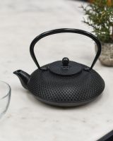 Black Cast Iron "Ushirode Kyusu" Japanese Style Teapot in Situ