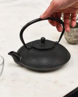 Scale Shot of Black Cast Iron "Ushirode Kyusu" Japanese Style Teapot