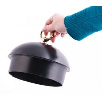 Chimney Collar Cover to Scale Chimney Collar Cover to Scale