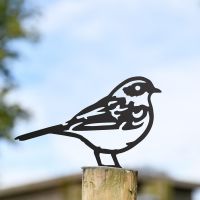 Black Dunnock Steel Fence Topper