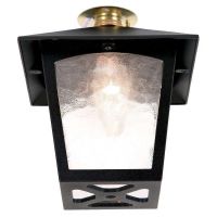 Black & Gold Berkswell Outdoor Porch or Ceiling Light