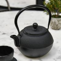 Black "Kyusu" Cast Iron Japanese Teapot with Handle