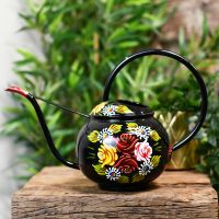 Black Watering can with a Large Carry Handle Black Watering can with a Large Carry Handle