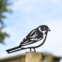 Black Reed Bunting Steel Fence Topper Black Reed Bunting Steel Fence Topper