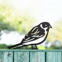 Black Reed Bunting Steel Fence Topper in Situ Black Reed Bunting Steel Fence Topper in Situ