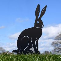 Black Sitting Hare Silhouette in Situ