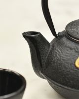 Black Cast Iron Spout 