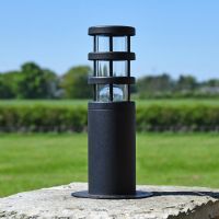 Black Stainless Steel Contemporary Pedestal Light