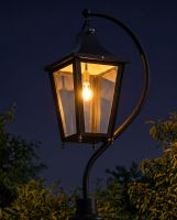 Black Swan Neck Lantern 84cm Digital Illustration At Night