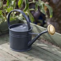 Galvanised Traditional Watering Can in Situ
