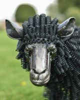 Close-Up of Facial Features of Recycled Metal Sheep Sculpture