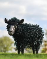 Black Twisted Metal Sheep Garden Sculpture - Recycled Outdoor Ornament in Situ