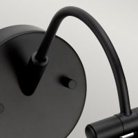 Swan Neck on Picture Light 